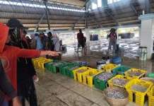 Cuaca Buruk Hantam Nelayan Pekalongan, Tangkapan Anjlok, Harga Ikan Laut Melambung
