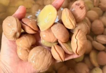 Tips Sehat Mengolah Jengkol Lezat