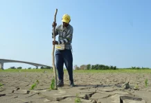 El Nino Ekstrem Berkepanjangan, Apa Dampaknya?