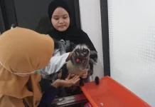 Vaksin Rabies Gratis Digelar di Pekalongan, Dinperpa Siapkan 150 Dosis
