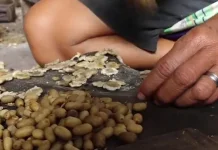 Emping Limpung Batang, Warisan Budaya Kuliner dari Jawa Tengah