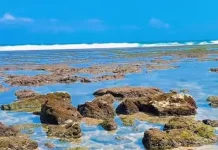 Pantai Kuwaru, Pesona Laut Selatan yang Masih Alami dan Gratis