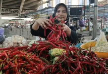 Kemarau Panjang, Harga Cabai di Batang Naik Rp5 Ribu per Kilogram