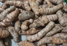 Tips Memilih dan Menyimpan Kunyit agar Tetap Segar dan Beraroma