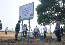 Bandara Semarang Tanam 500 Pohon Tabebuya di Polaman Mijen