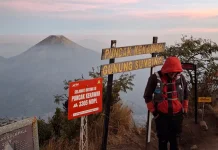 Puncak Kekawah Gunung Sumbing, Pesona Kawah Aktif dari Atas Awan