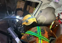Tim SAR Evakuasi Sopir Dump Truk Terjepit usai Tabrak Pohon di Banyumanik