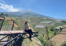 Spot Foto Cantik di Nampan Sukomakmur, Magelang, Sajikan Panorama Gunung