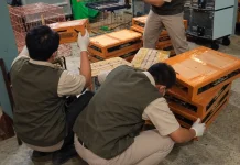 Karantina Jateng Temukan 588 Burung tanpa Dokumen di Pelabuhan Tanjung Emas