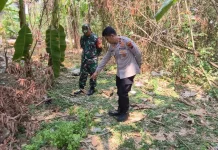 Polisi Dalami Pelaku Pembuangan Bayi di Lahan Kosong Tlogomulyo Kota Semarang