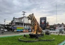Mengintip Asal Usul Nama Daerah Simo, Boyolali
