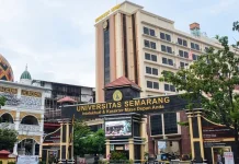 Teknik Sipil USM Catat Capaian Positif di SINTA Kemdiktisaintek