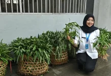 Warga Binaan Lapas Semarang Panen Kangkung 60 Kilogram, Hasil Belajar Mandiri
