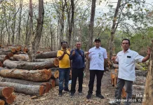 Tingkatkan Pendapatan, Perhutani Telawa Perkuat Penatausahaan Kayu