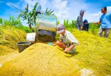 Sinergi Pesisir Kunci Kesejahteraan Nelayan Jawa Tengah