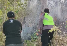 Kebakaran Lahan Perhutani di Buayan Meluas hingga 2 Hektare