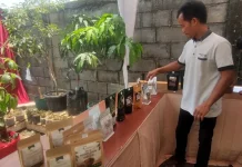 Daya Beli Kurang, Komoditas Kopi di Kendal Harganya Turun
