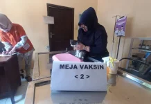 Vaksin Rabies Gratis di Kudus Diserbu, 120 Hewan Sudah Terdaftar