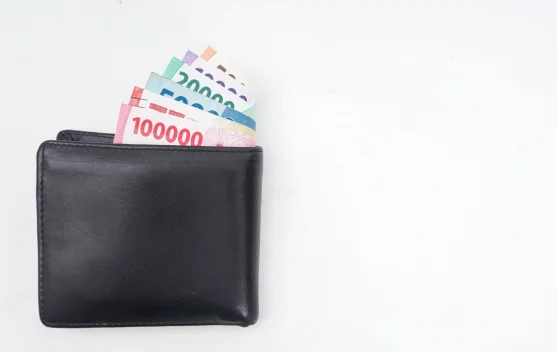 Tips Mengatur Pengeluaran Gaji dan THR saat Mudik