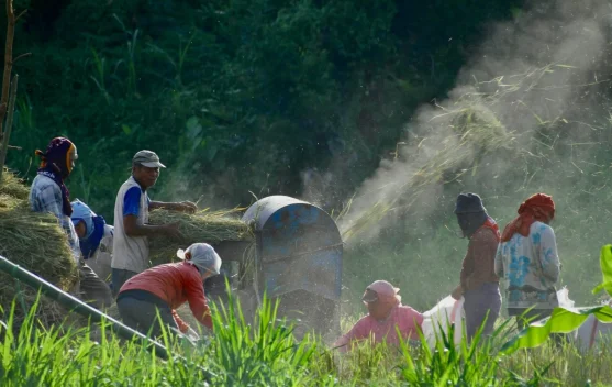 Ekonomi Desa Menguat, Konsumsi Jelang Lebaran 2026 Diprediksi Naik