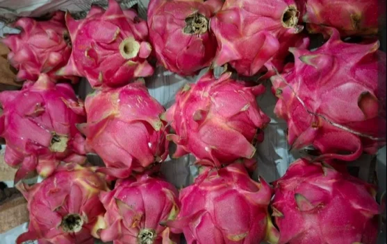 Ide Produk UMKM Berbahan Dasar Buah Naga