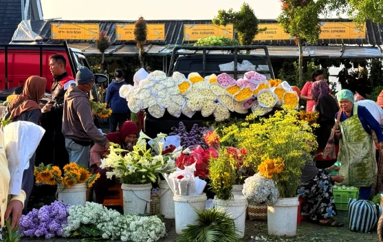 Pasar Bunga Bandungan, Surga Florikultura Terbesar di Jawa Tengah - RRI ...