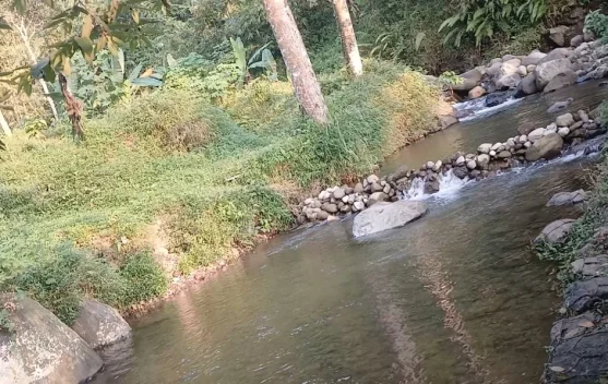 Sungai Jernih hingga Sawah Hijau, Desa Pakis Jadi Pilihan Wisata Alam di Kendal