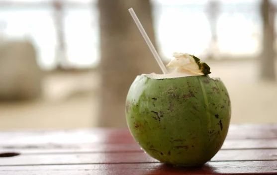 Air Kelapa, Sumber Isotonik Alami Pengganti Cairan Tubuh