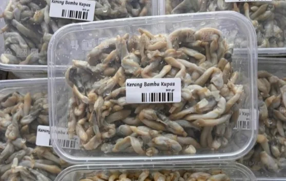 Aneka Bumbu yang Cocok dengan Kerang Bambu Kupas