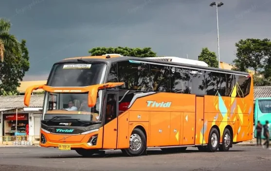 Tips Cerdas Sewa Bus Wisata Sekolah, Liburan Seru, Rombongan Aman dan Tenang