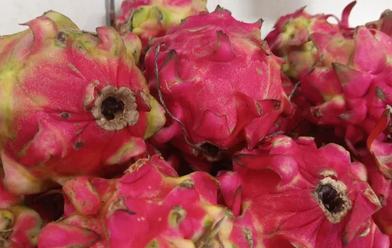 Buah Naga Ungu Kaya Manfaat bagi Kesehatan