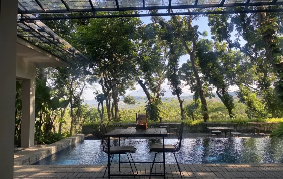 Teduhnya Ruang Hijau di Ella Kitchen and Garden