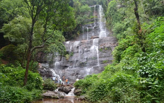 Masyarakat Pilih Destinasi Wisata Alam dan Edukasi, Mengapa?