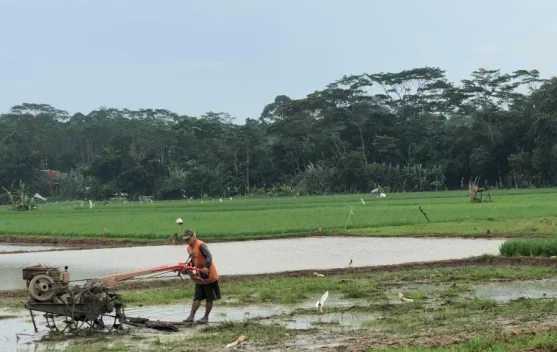 Regenerasi Jadi Tantangan, Pemkot Pekalongan Dorong Peran Duta Petani Milenial