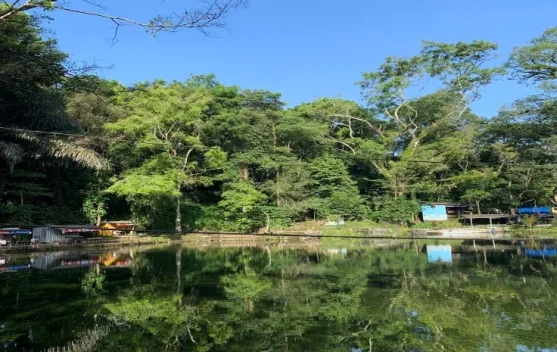 Senjoyo Tawarkan Wisata Alam dengan Kesegaran Mata Air Alami
