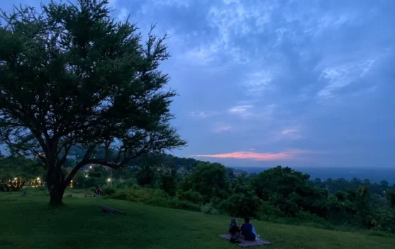 Bukit Senja Tembalang, Pilihan Menikmati Kota dari Ketinggian