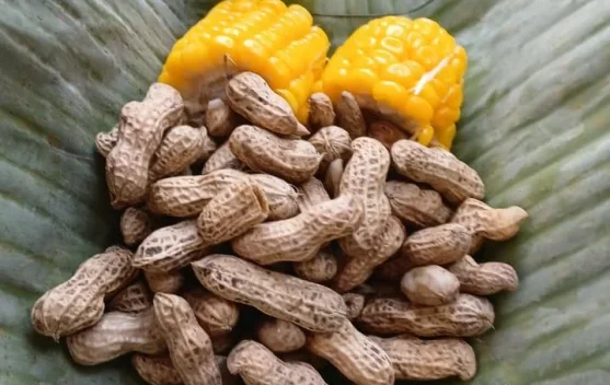 Jagung dan Kacang Rebus Sebagai Camilan Pagi Hari