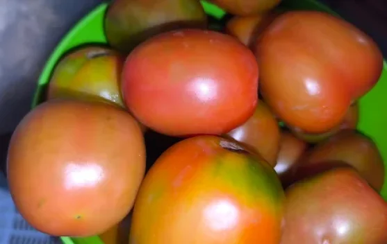 Tips Memilih Sayuran Tomat yang Fresh