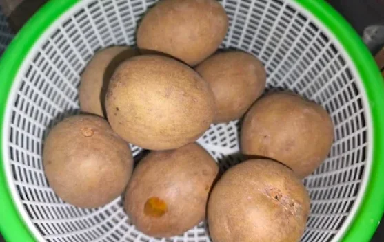 Tips Memilih Buah Sawo dengan Baik