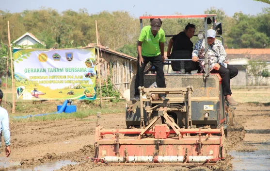 PM-AAS Diterapkan di Rembang, Populasi Tanaman Padi Bisa Tembus 1 Juta per Hektare
