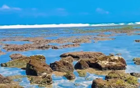 Pantai Kuwaru, Pesona Laut Selatan yang Masih Alami dan Gratis
