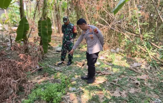 Polisi Dalami Pelaku Pembuangan Bayi di Lahan Kosong Tlogomulyo Kota Semarang