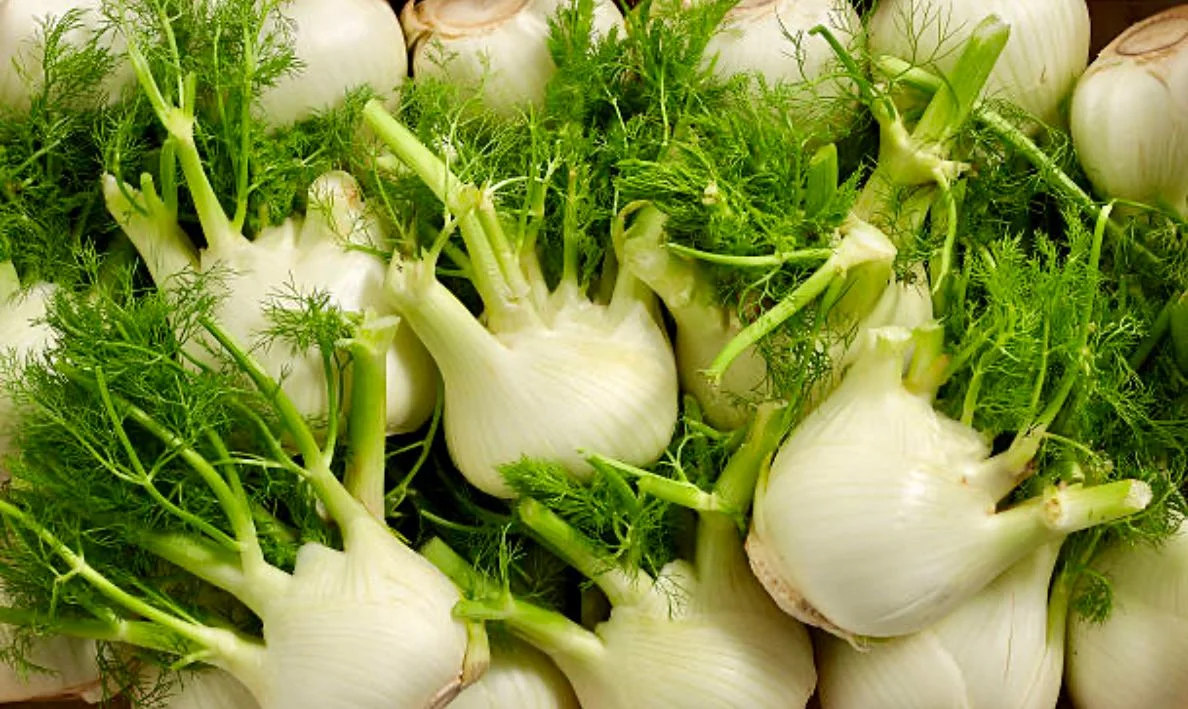 Adas: Rahasia Pelancar ASI Alami yang Jarang Diketahui - RRI.co.id