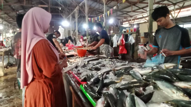 Mendekati Ramadan, Harga Ikan Layang dan Tongkol Normal