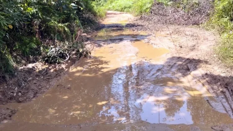 Jalan Rusak Ancam Keselamatan Warga di Kecamatan Jempang