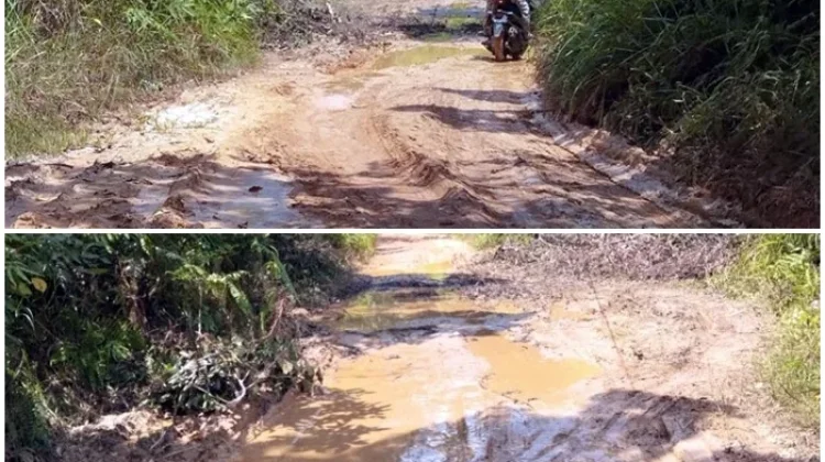 Jalan Rusak Hambat Ekonomi Warga di Kutai Barat