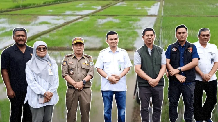 Kementan dan Bapanas Cek Lahan Pertanian di Kubar, Soroti Potensi Belum Optimal