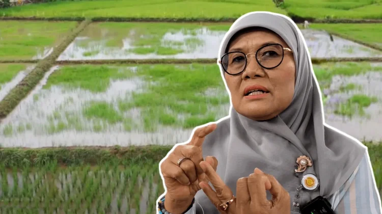 Kementan Tawarkan Program Cetak Sawah Rakyat untuk Perkuat Pangan di Kutai Barat