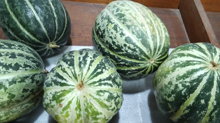 Manfaat Buah Blewah Dikonsumsi saat Berbuka Puasa