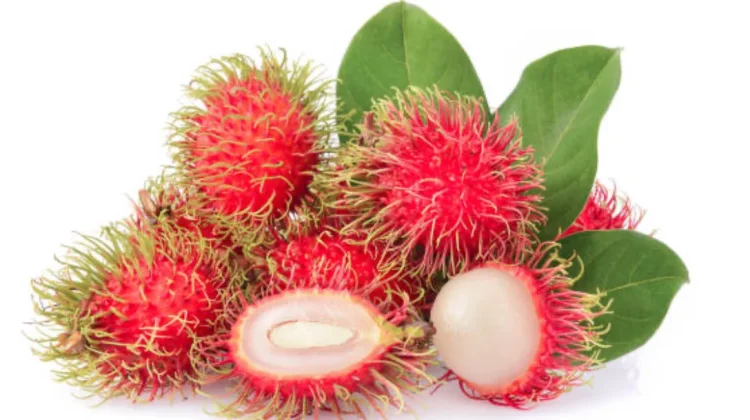 Ragam Manfaat Buah Rambutan Bagi Kesehatan